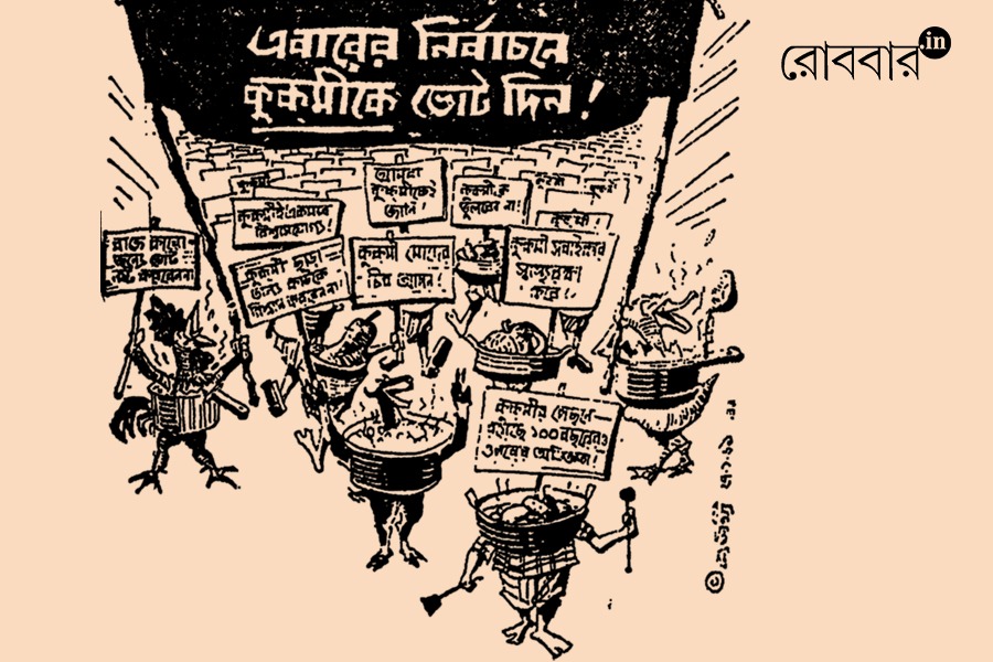 Brand Strategy Behind Election-Based Advertising | Robbar