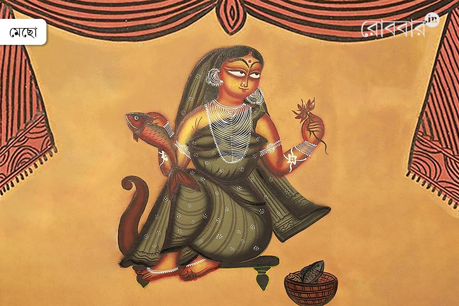 a very large fish cutter in bengali fish markets | Robbar