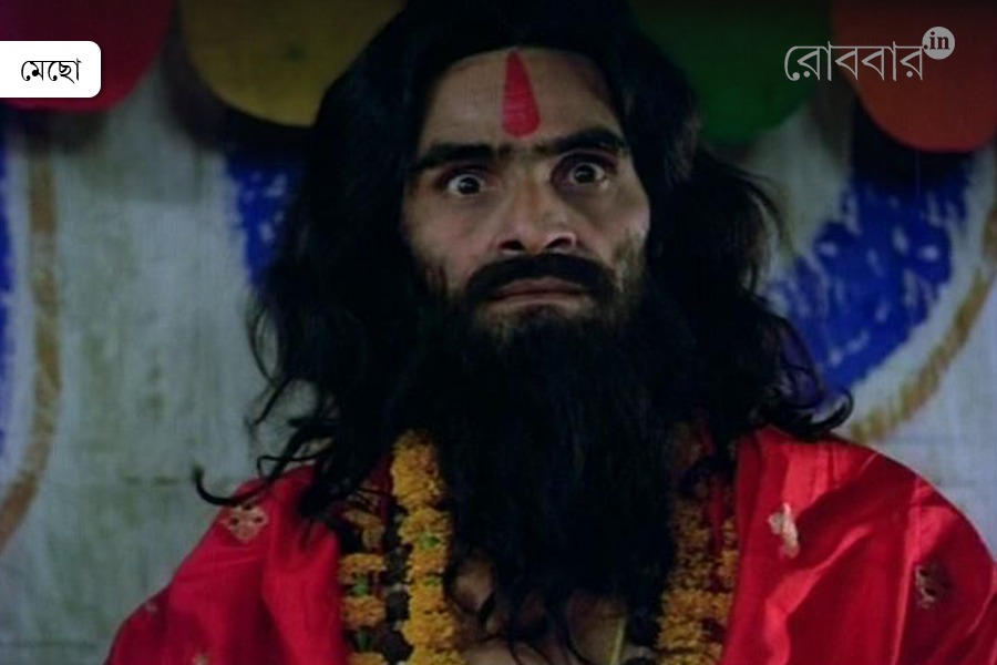 Joy Baba Felunath Fish Motif and Macchlibaba | Robbar