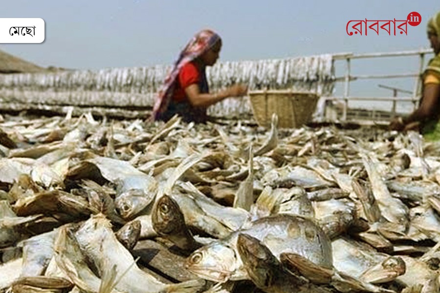 Sutki or dry Fish Preparation: Methods and Recipes। Robbar