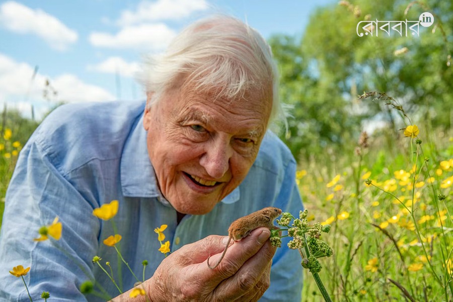 David Attenborough: The Voice of Nature and Wildlife। Robbar