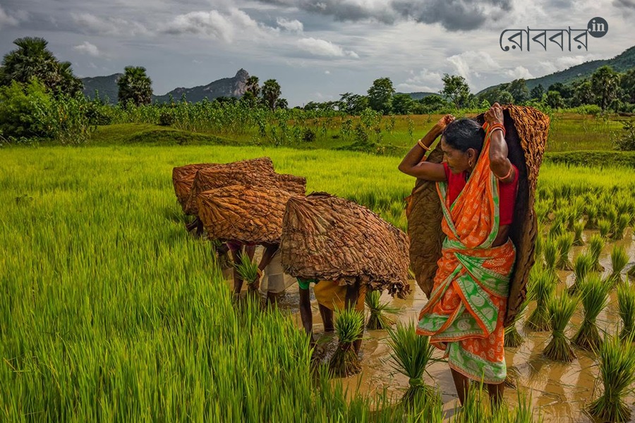 ghong the traditional raincoat made of chihar leaves। Robbar