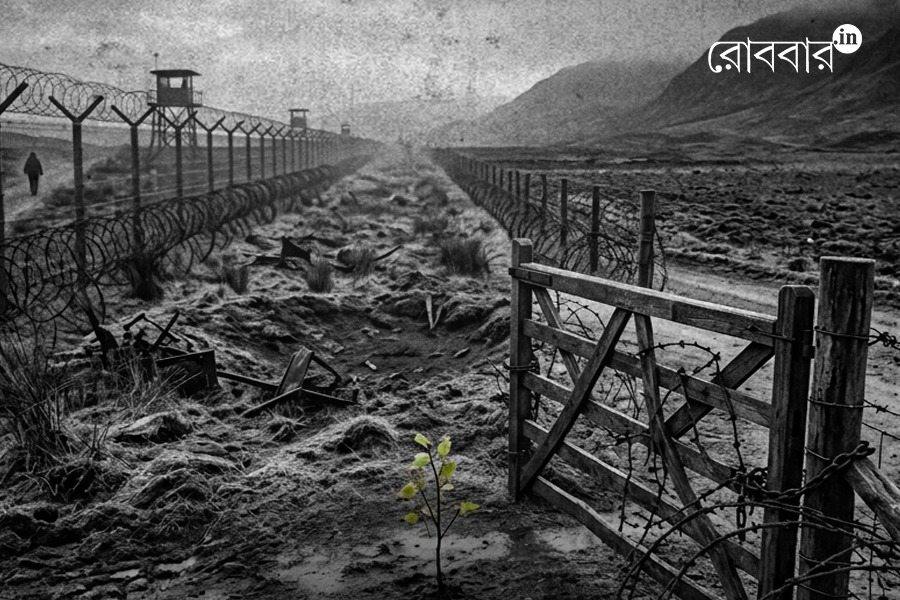 Rozina and the Agony of No Man's Land। Robbar