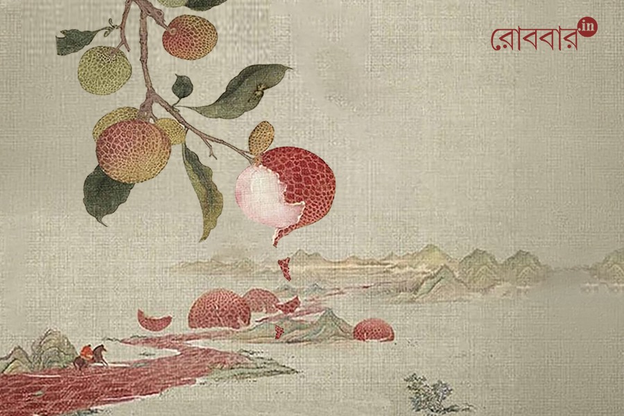 Gola Gulab: The Litchi Variety Winning Hearts in Europe। Robbar