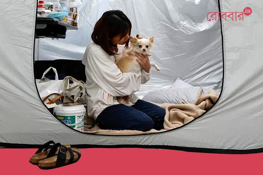 do pets become family members: story of tomoko | Robbar