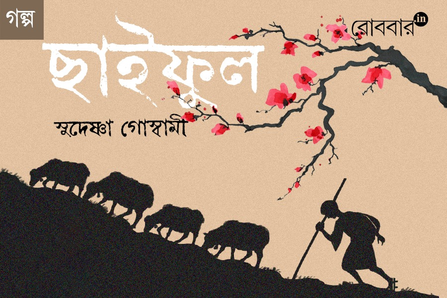 a-short-story-by-sudeshna-goswami। Robbar