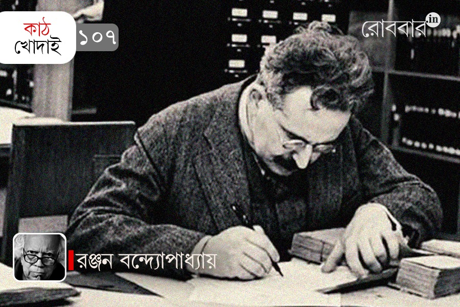 দ্বিখণ্ডিত দার্শনিক