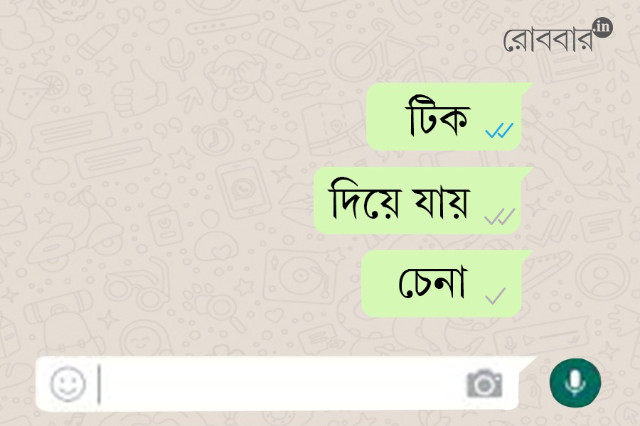 টিক দিয়ে যায় চেনা
