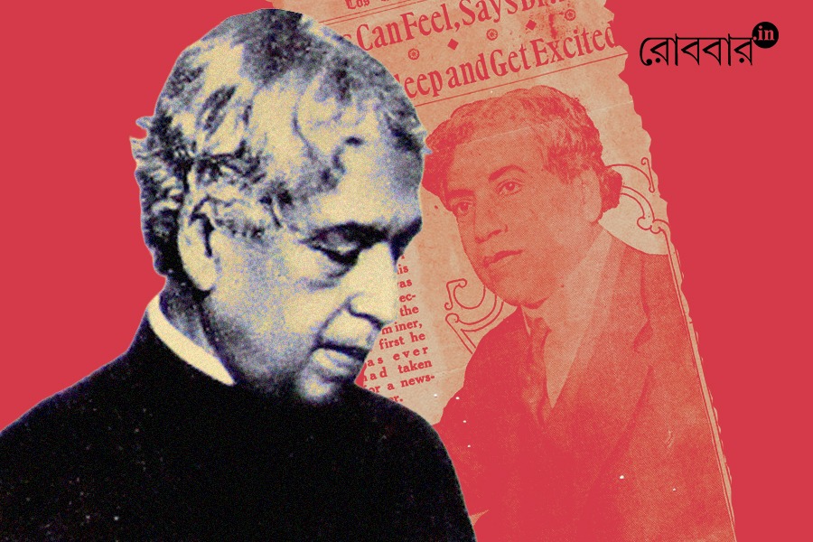 অব্যক্ত জগদীশ, বাঙ্ময় জগদীশ