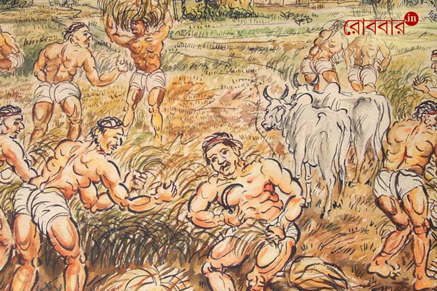 হেই সামালো ধান হো