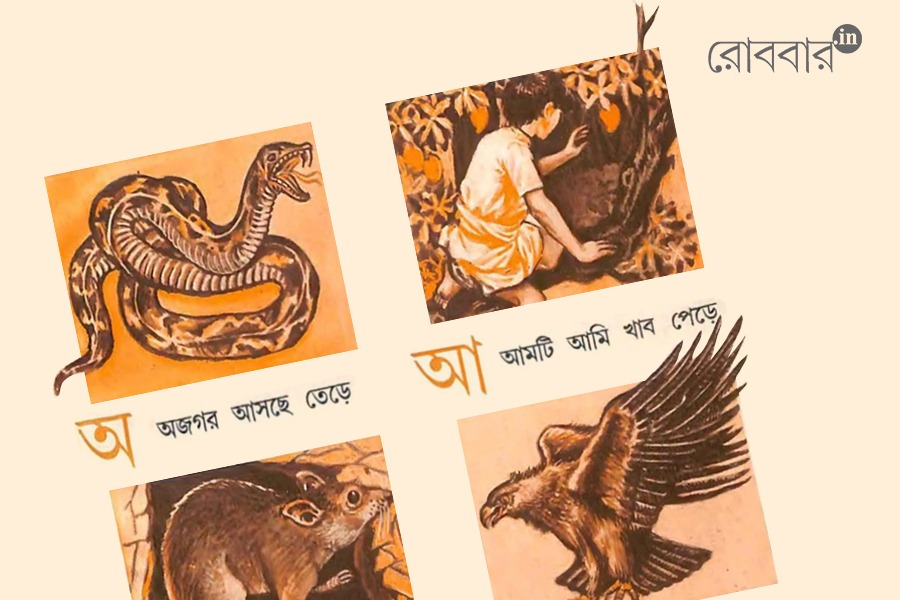 ছড়ার সরকার