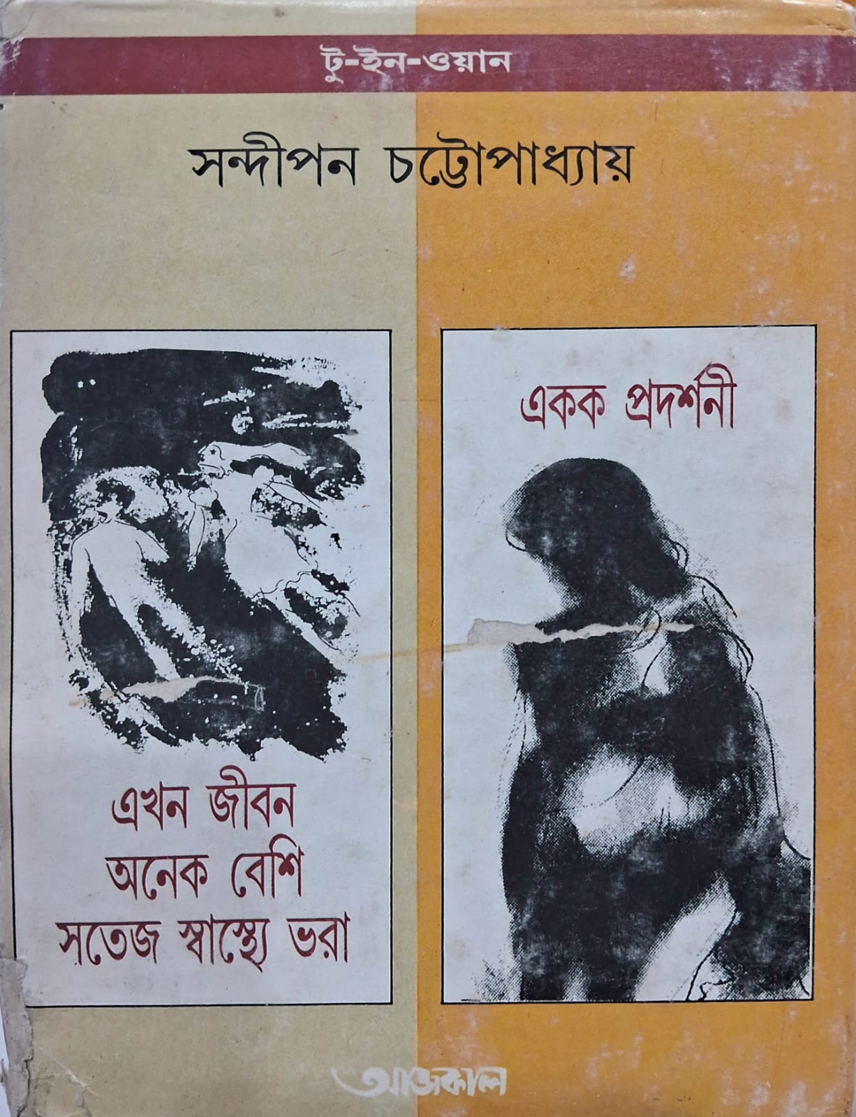 Sandipan Chattopadhyay: A Rebel Against Commercial Literature | Robbar
